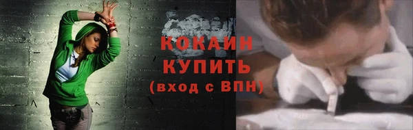крисы Магас