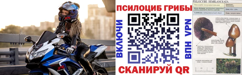 Псилоцибиновые грибы мухоморы  купить  цена  Цивильск 